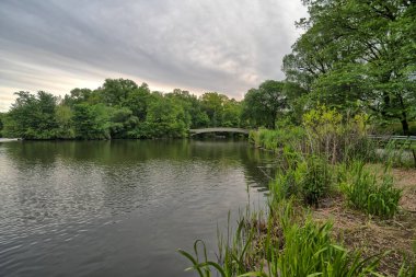 Köprü, Central Park, New York İlkbaharda, sabahın erken saatlerinde 