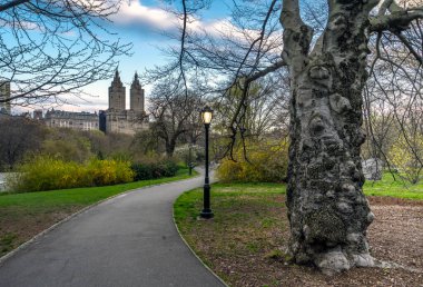 Baharda Central Park 'ta, New York City' de sabahın erken saatlerinde 