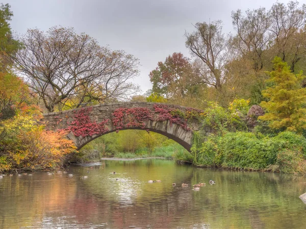 Most Gapstow Central Parku Późną Jesienią Pochmurny Dzień — Zdjęcie stockowe