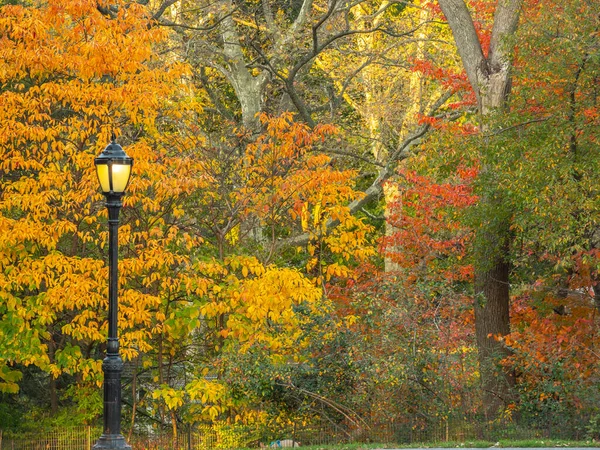 Central Park New York City Herbst Mit Straßenlaterne Frühen Morgen — Stockfoto