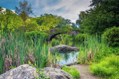 Central Park 'taki Gapstow Köprüsü. Sabah erken saatlerde.