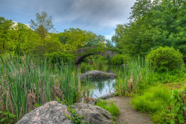 Gapstow Híd Central Parkban Késő Tavasszal Kora Reggel — Stock Fotó