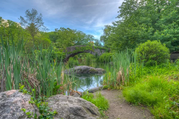 Gapstow Híd Central Parkban Késő Tavasszal Kora Reggel — Stock Fotó