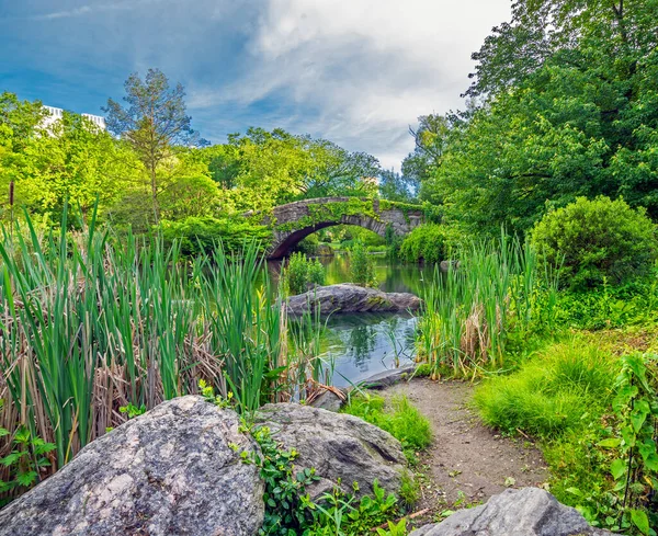 Central Park Taki Gapstow Köprüsü Sabah Erken Saatlerde — Stok fotoğraf