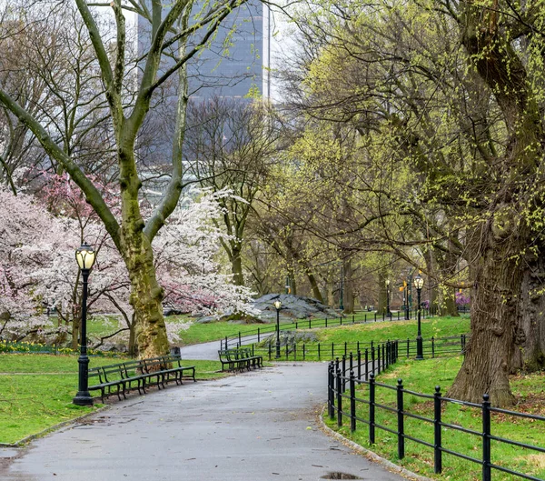 Primavera Central Park Nueva York — Foto de Stock