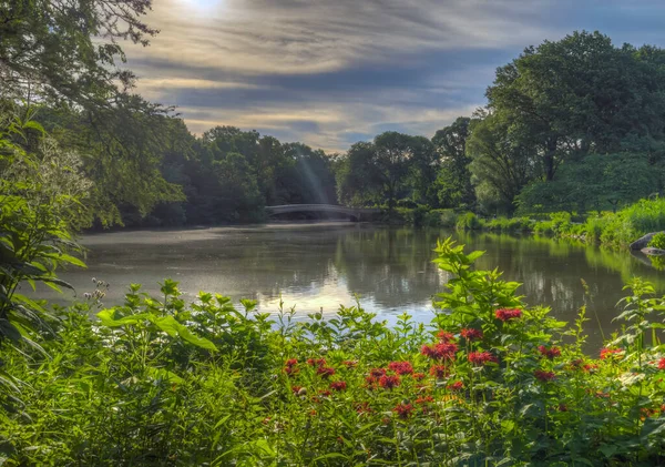 Central Park New York Yazın Bow Köprüsü Nde — Stok fotoğraf