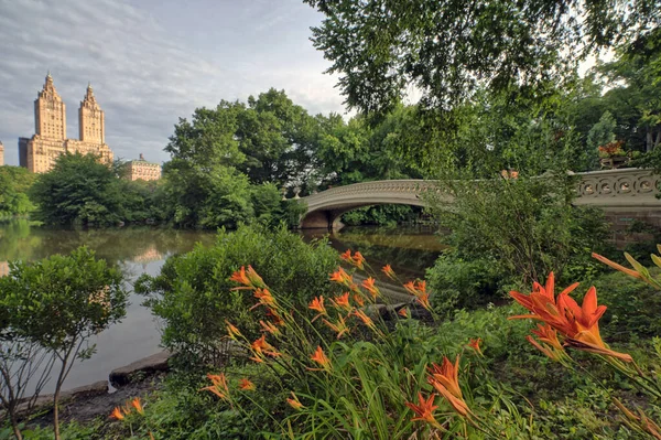 Central Park Nueva York Verano Bow Bridge — Foto de Stock