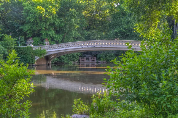 Central Park New York Yazın Bow Köprüsü Nde — Stok fotoğraf