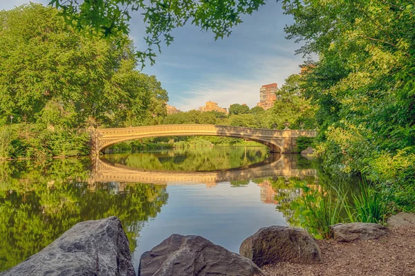 Central Park New York City Summer Bow Bridge — Stock Photo, Image