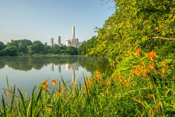 Lago Central Park Nueva York Manhattan Verano — Foto de Stock