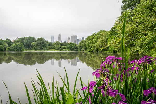 Lago Central Park Nueva York Manhattan Verano — Foto de Stock