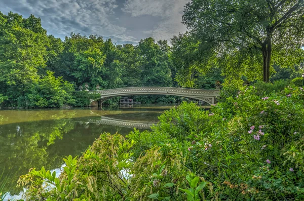 Pont Arc Central Park New York — Photo