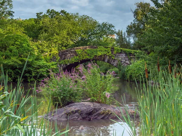 Brug Van Gapstow Central Park — Stockfoto