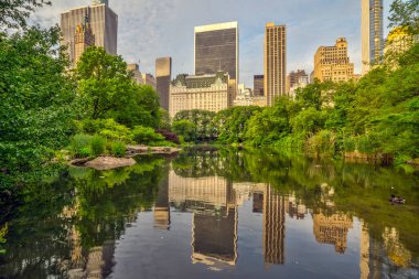 Central Park 'taki gölde, New York City, Manhattan