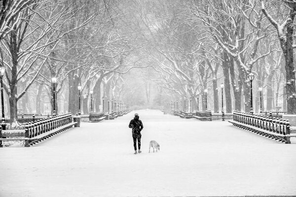 The Mall in Central Park, New York City in the middle of a snow storm