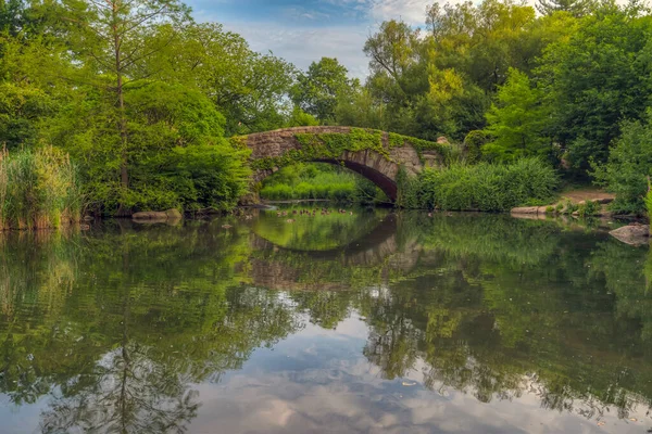 Puente Gapstow Central Park Verano Temprano Mañana —  Fotos de Stock