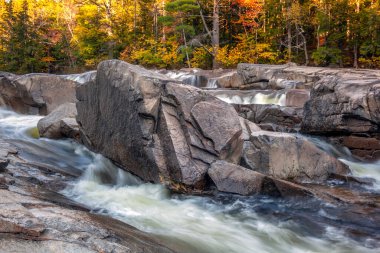 Sonbahar New Hampshire 'daki Swift nehrinde