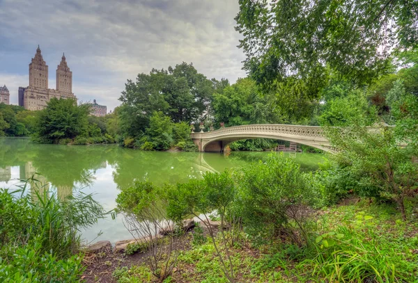 Pont Bow Central Park New York Tôt Matin Fin Été — Photo