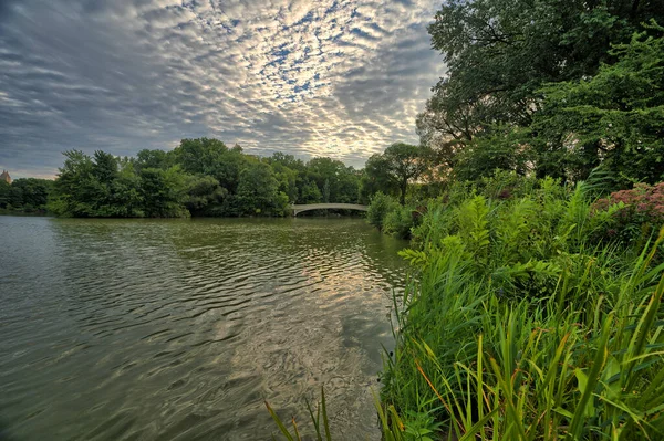 Bow Köprüsü Central Park New York Yazın Sonlarında Sabah Erken — Stok fotoğraf