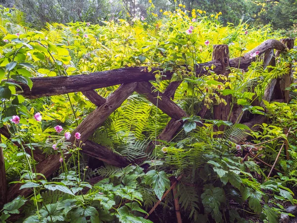 Shakespeare Garden Central Park New York City — Stockfoto