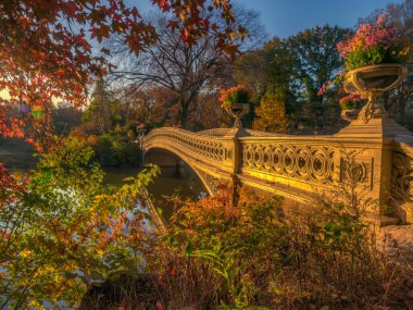 Bow bridge, Central Park, New York City in late autumn early in the morning clipart