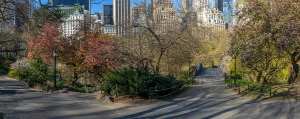 Primavera Central Park Nueva York Temprano Mañana Frente Plaza Hotel — Foto de Stock