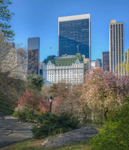 Spring Central Park New York City Early Morning Front Plaza — Stock Photo, Image