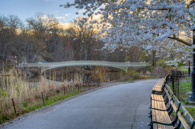 Pruva köprüsü, Central Park, New York Baharın başlarında