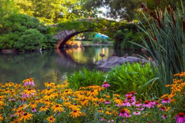 Gapstow Bridge in Central Park  in spring with flowers  clipart