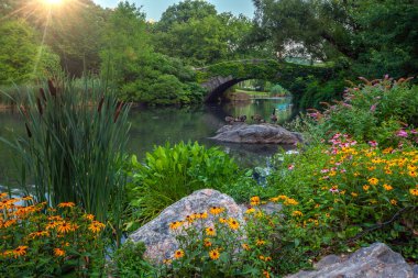 Baharda Central Park 'taki Gapstow Köprüsü' nde çiçekler 