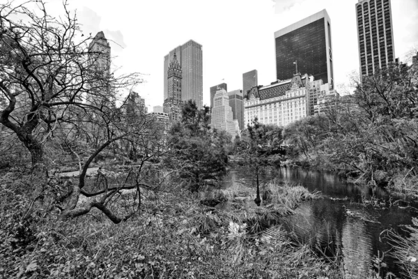 Hotel Plaza Borde Central Park Nueva York — Foto de Stock