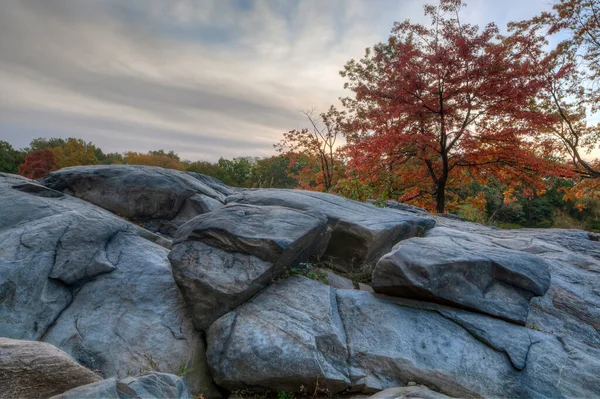 Aan Het Meer Central Park New York City Manhattan — Stockfoto