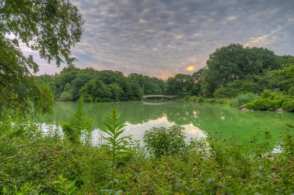 Pruva Köprüsü Central Park New York Sabah Erken Saatlerde Bulutlu — Stok fotoğraf