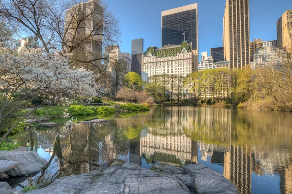 Отель Plaza Окраине Центрального Парка Нью Йорк — стоковое фото