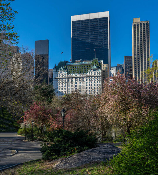 Plaza hotel on he edge of Central Park, New York City