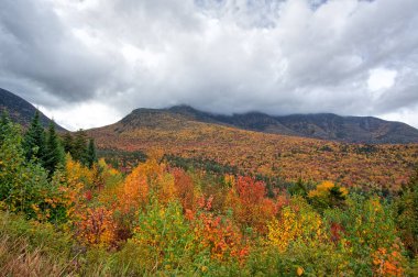 Kancamagus Otoyolu 'nun manzarası