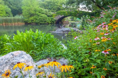 Central Park 'taki Gapstow Köprüsü 