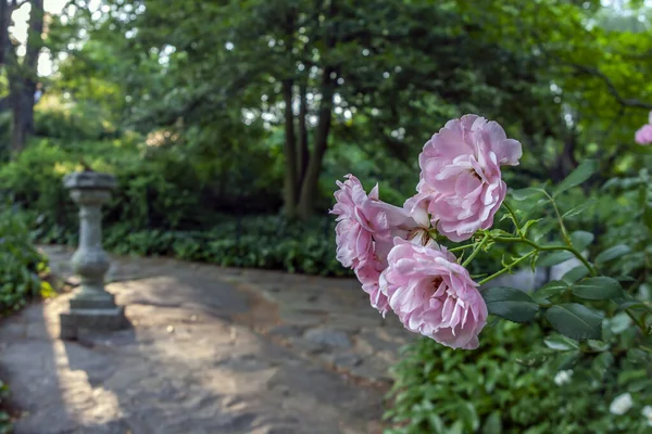 Jardim Shakespeare Central Park Nova Iorque — Fotografia de Stock