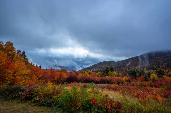 Landschaft Auf Dem Kancamagus Highway — Stockfoto