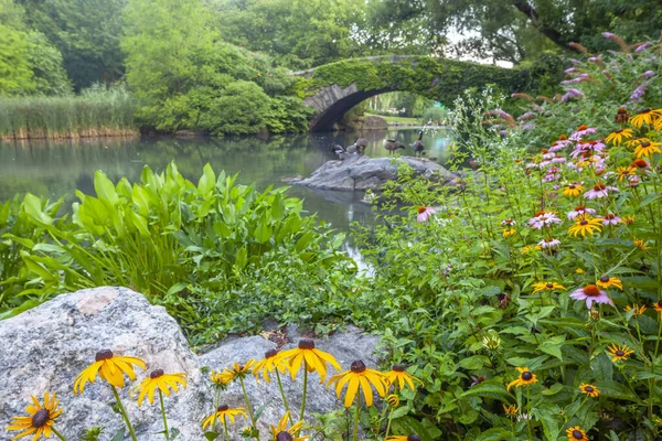 Brug Van Gapstow Central Park — Stockfoto