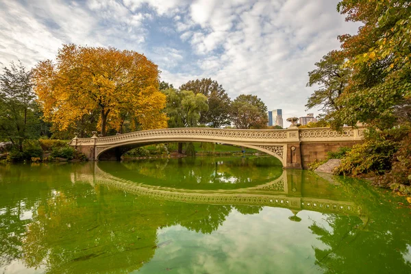 Most Łukowy Central Park Nowy Jork Aurumn — Zdjęcie stockowe