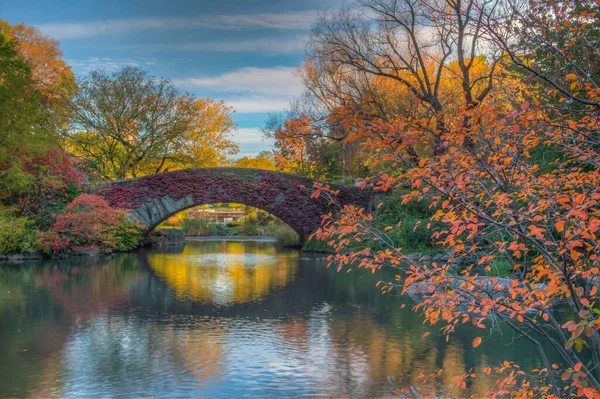 Gapstow Köprüsü Central Park 'ta sonbahar sabahı erken saatlerde