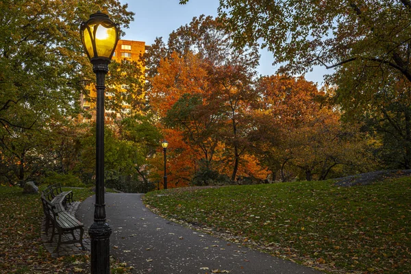 Central Park New York Sonbaharda Erken Saatlerde Gün Doğumunda — Stok fotoğraf