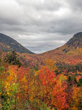 Kancamagus Otoyolu 'nun manzarası