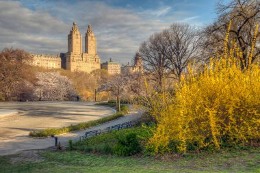 Central Park 'ta bahar, New York