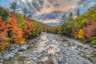Sonbahar New Hampshire 'daki Swift nehrinde