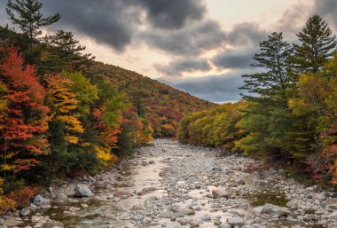 Sonbahar New Hampshire 'daki Swift nehrinde