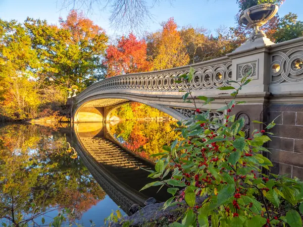 Bogenbrücke Central Park New York City Herbst — Stockfoto