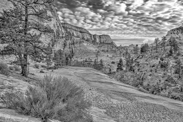 Zion National Park Early Orning Dramatic Sky — Stock Photo, Image