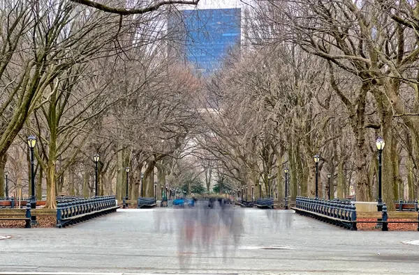 Mall Central Park New York City Časné Ráno Zimě Stock Snímky